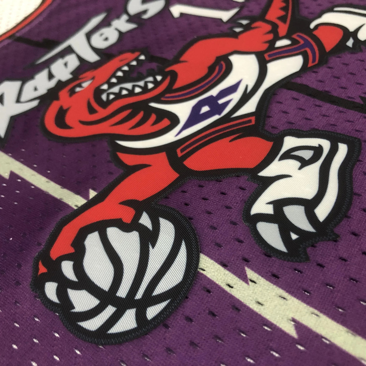 Jersey Cropped Carter Toronto Raptors Mitchell & Ness Hardwood Classics
