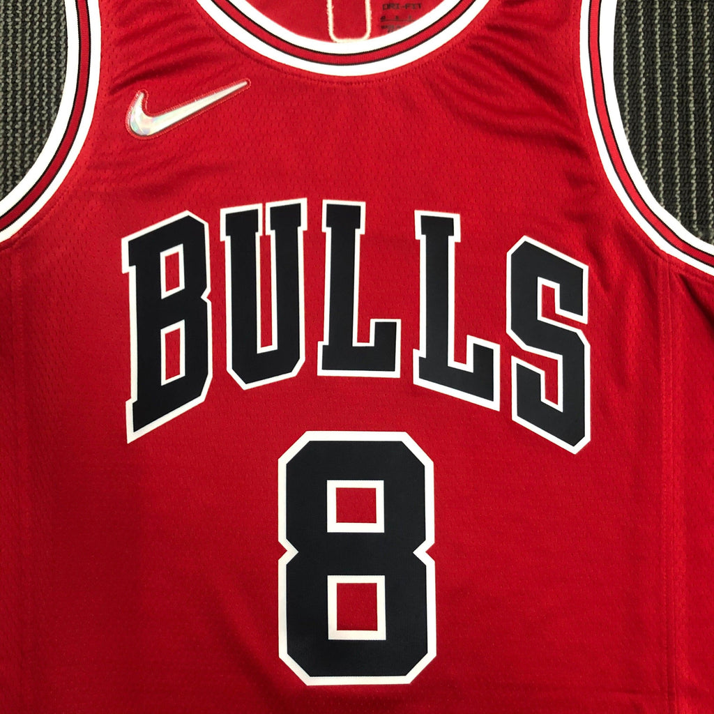 Jersey Chicago Bulls Icon Edition Diamond 75th