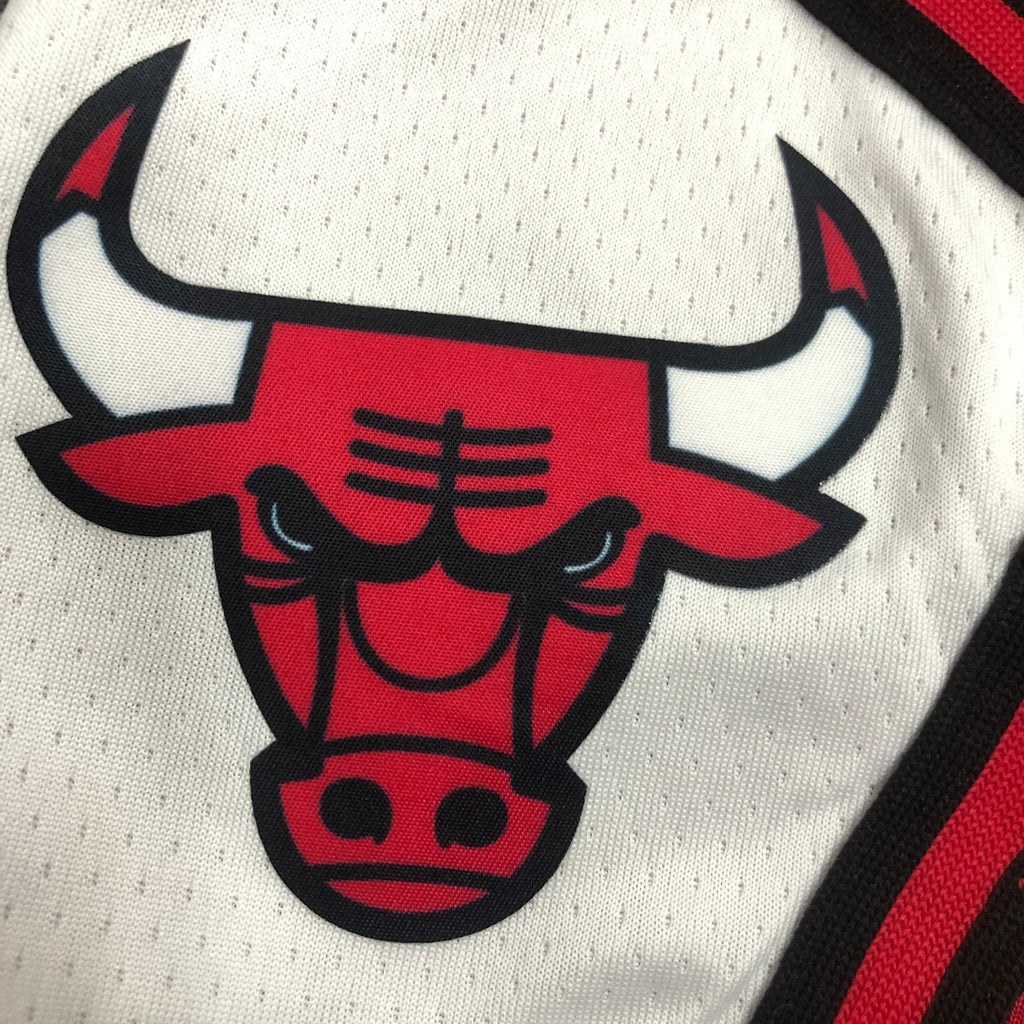 Shorts Chicago Bulls Icon Edition