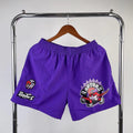 Shorts Toronto Raptors Mitchell & Ness Woven