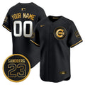 MLB Chicago ‘Ryne Sandberg Tribute’ Vapor Premier Limited Jersey V2