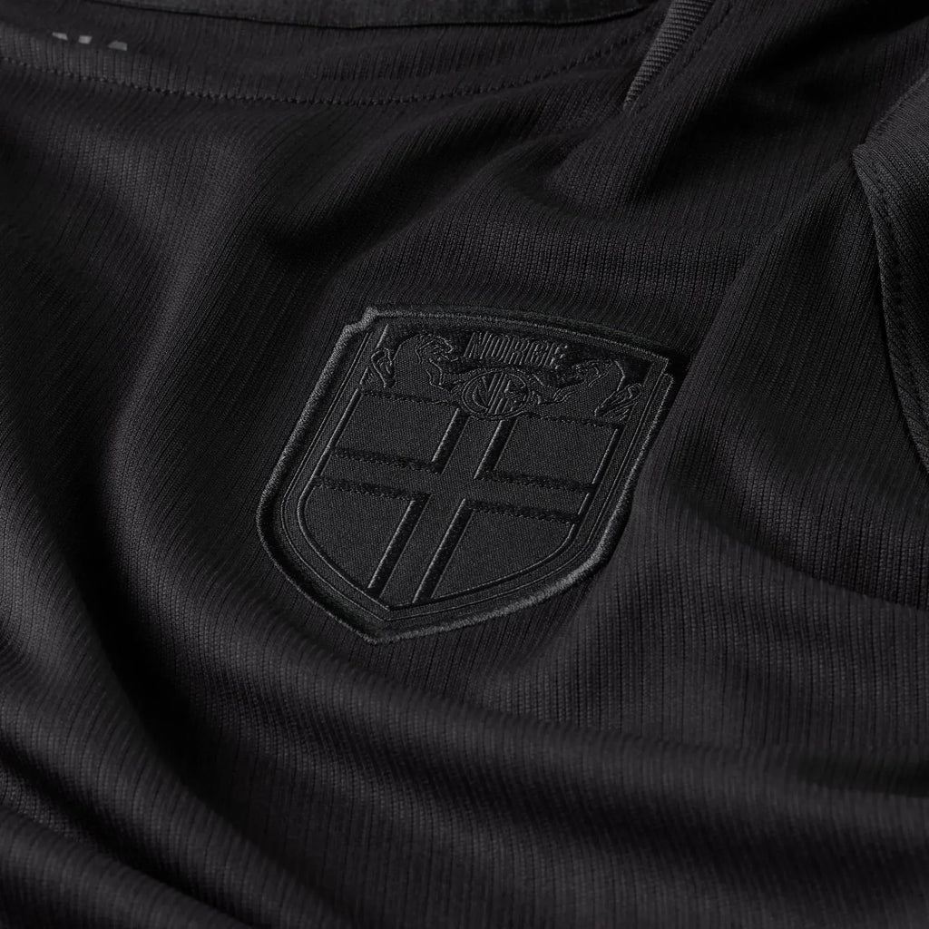 Jersey National Team Norway 2026 Fan Men's - Gray